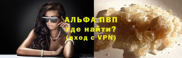 гашик Арсеньев