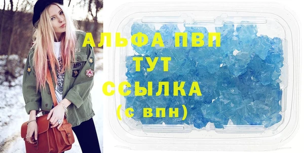 гашик Арсеньев