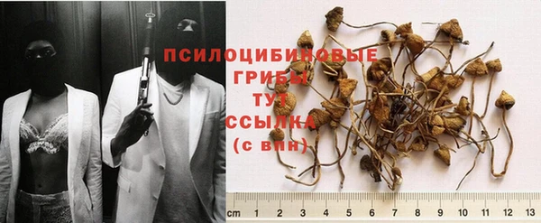 кристаллы Аркадак