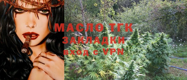 гашик Арсеньев
