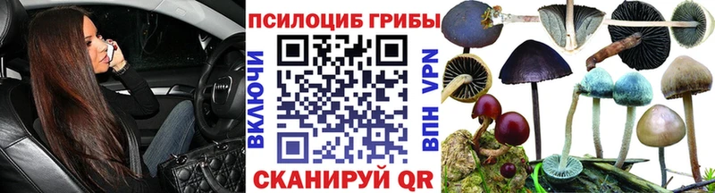 Галлюциногенные грибы MAGIC MUSHROOMS  как найти   Боровск 
